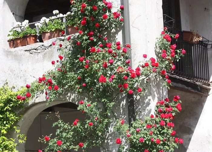 Pensjonat Casa Archi