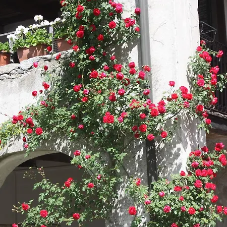 Casa de hóspedes Casa Archi