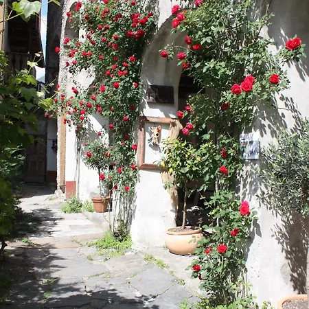 Casa Archi Maison d'hôtes Losone